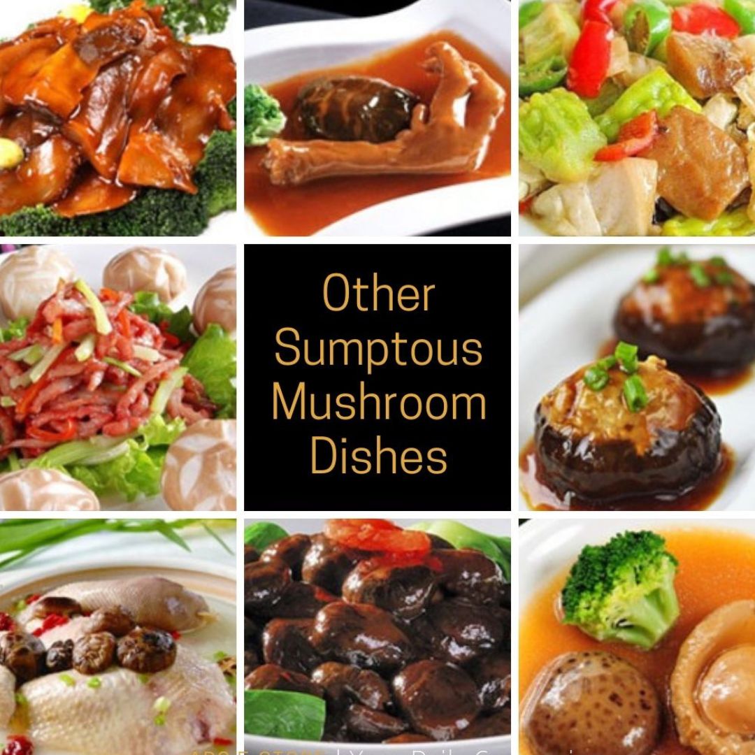 I-Cery - Japan Shiitake Flower Mushroom