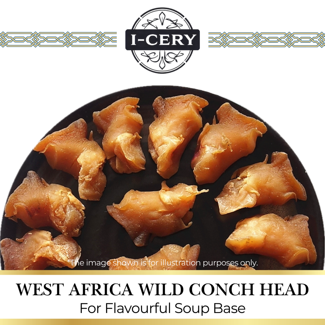 I-Cery - West Africa Wild Conch Head