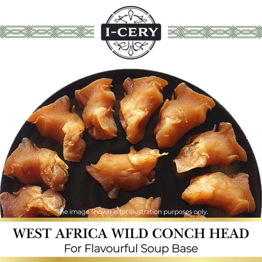 I-Cery - West Africa Wild Conch Head