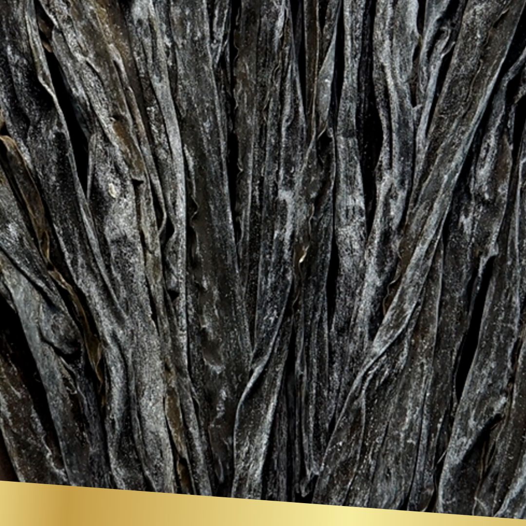 I-Cery - Small - Japan Top Grade Kombu - Sea Kelp