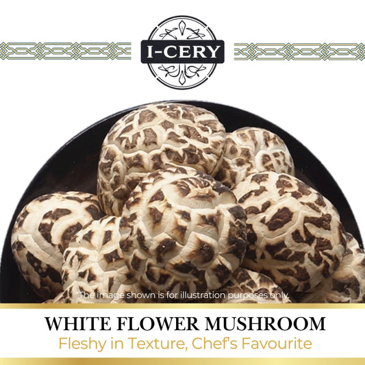 I-Cery - Fleshy Texture White Flower Mushroom