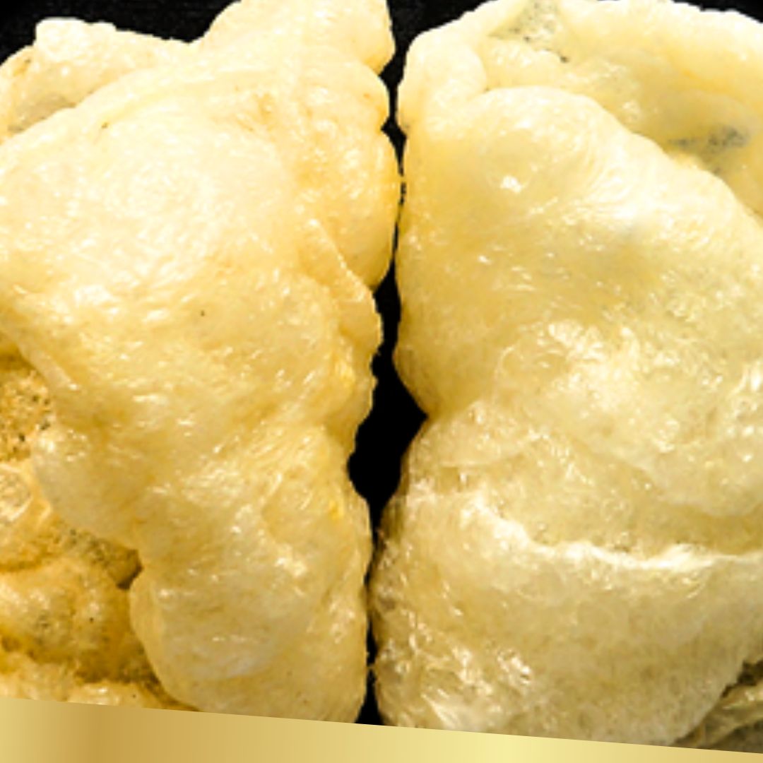 I-Cery - Premium Grade Oil-Free Roasted Fish Maw